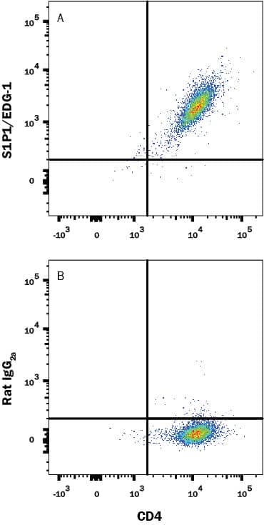 HEK293 human embryonic kidney cell line transfected with mouse S1P1/EDG-1 and GFP was stained with either (A) Rat Anti-Mouse S1P1/EDG-1 Alexa Fluor® 700-conjugated Monoclonal Antibody (Catalog # FAB7089N) or (B) Rat IgG2AAlexa Fluor 700 Isotype Control (Catalog # IC006N). View our protocol for Staining Membrane-associated Proteins.