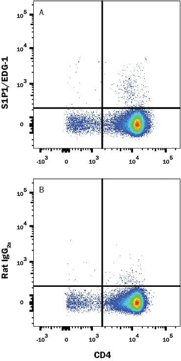Mouse thymocytes were stained with Rat Anti-Mouse CD4 PE-conjugated Monoclonal Antibody (Catalog # FAB554P) and either (A) Rat Anti-Mouse S1P1/EDG-1 Alexa Fluor® 700-conjugated Monoclonal Antibody (Catalog # FAB7089N) or (B) Rat IgG2AAlexa Fluor 700 Isotype Control (Catalog # IC006N). View our protocol for Staining Membrane-associated Proteins.