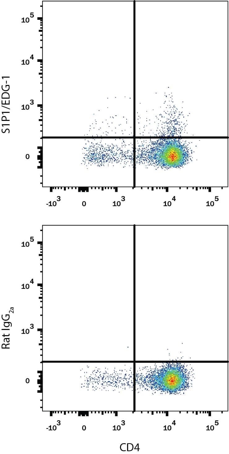 Mouse thymocytes were stained with Rat Anti-Mouse CD4 PE-conjugated Monoclonal Antibody (Catalog # FAB554P) and either (A) Rat Anti-Mouse S1P1/EDG-1 Alexa Fluor® 647-conjugated Monoclonal Antibody (Catalog # FAB7089R) or (B) Rat IgG2A Alexa Fluor 647 Isotype Control (Catalog # IC006R). View our protocol for Staining Membrane-associated Proteins.