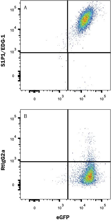 Flow Cytometry S1P1/EDG-1 Antibody (713412) [Unconjugated]