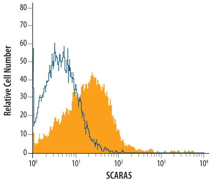 HepG2 human hepatocellular carcinoma cell line was stained with Mouse Anti-Human SCARA5 Monoclonal Antibody (Catalog # MAB4900, filled histogram) or isotype control antibody (Catalog # MAB0041, open histogram), followed by Allophycocyanin-conjugated Anti-Mouse IgG Secondary Antibody (Catalog # F0101B).