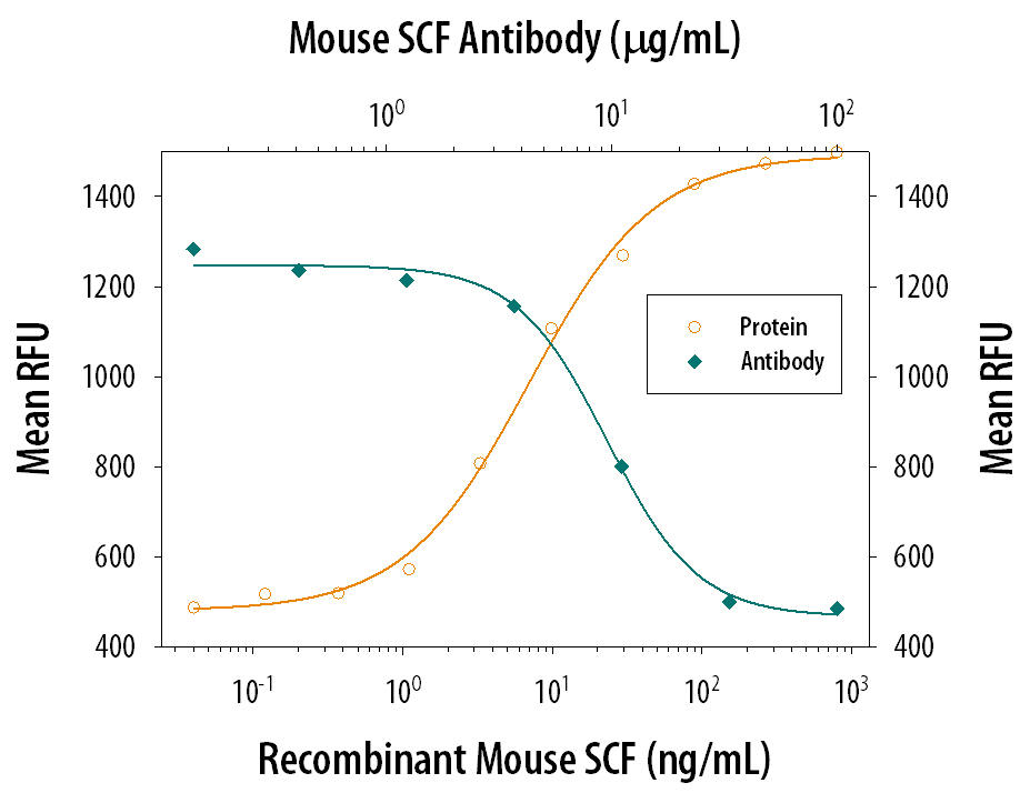 Recombinant Mouse SCF/ c-kit Ligand (Catalog # 455-MC) stimulates proliferation in the TF-1 human erythro-leukemic cell line in a dose-dependent manner (orange line). Proliferation elicited by Recombinant Mouse SCF/c-kit Ligand (25 ng/mL) is neutralized (green line) by increasing concentrations of Goat Anti-Mouse SCF/ c-kit Ligand Polyclonal Antibody (Catalog # AB-455-NA). The ND50 is typically 4-20 µg/mL.