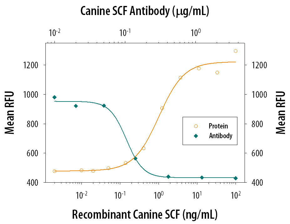 Recombinant Canine SCF/c-kit Ligand (Catalog # 2278-SC) stimulates pro-liferation in the TF-1 human erythroleukemic cell line in a dose-dependent manner (orange line). Proliferation elicited by Recombinant Canine SCF/c-kit Ligand (5 ng/mL) is neutralized (green line) by increasing concentrations of Goat Anti-Canine SCF/ c-kit Ligand Antigen Affinity-purified Polyclonal Antibody (Catalog # AF2278). The ND50 is typically 0.1-0.3 µg/mL.