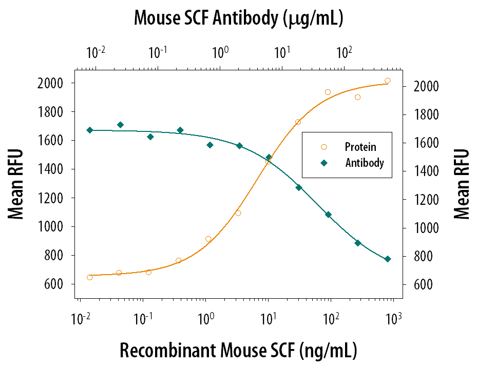 Recombinant Mouse SCF/c-kit Ligand (Catalog # 455-MC) stimulates proliferation in the TF-1 human erythroleukemic cell line in a dose-dependent manner (orange line). Proliferation elicited by Recombinant Mouse SCF/c-kit Ligand (25 ng/mL) is neutralized (green line) by increasing concentrations of Mouse SCF/c-kit Ligand Monoclonal Antibody (Catalog # MAB455). The ND50 is typically 5-30 µg/mL.