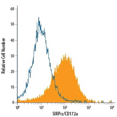 PC-12 rat adrenal pheochromocytoma cell line was stained with Mouse Anti-Rat SIRPa/CD172a Monoclonal Antibody (Catalog # MAB7307, filled histogram) or isotype control antibody (Catalog # MAB0041, open histogram), followed by Phycoerythrin-conjugated Anti-Mouse IgG Secondary Antibody (Catalog # F0102B).