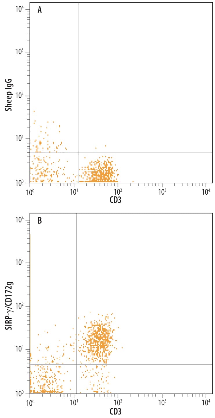 Flow Cytometry SIRP gamma/CD172g Antibody [Unconjugated]