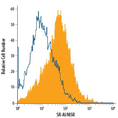 THP-1 human acute monocytic leukemia cell line activated with PMA and Ca2+ionomycin was stained with Mouse Anti-Human SR-AI/MSR APC-conjugated Monoclonal Antibody (Catalog # FAB2708A, filled histogram) or isotype control antibody (Catalog # IC0041A, open histogram). View our protocol for Staining Membrane-associated Proteins.
