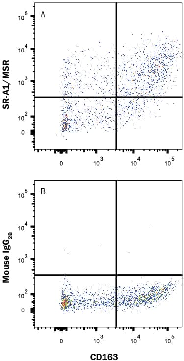 Human M2 macrophages were stained with Mouse Anti-Human CD163 PE-conjugated Monoclonal Antibody (Catalog # FAB1607P) and either (A) Mouse Anti-Human SR-AI/MSR APC-conjugated Monoclonal Antibody (Catalog # FAB2708A) or (B) Mouse IgG2BAllophycocyanin Isotype Control (Catalog # IC0041A). View our protocol for Staining Membrane-associated Proteins.