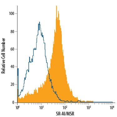 THP-1 human acute monocytic leukemia cell line activated with PMA and Ca2+ ionomycin was stained with Mouse Anti-Human SR-AI/MSR PE-conjugated Monoclonal Antibody (Catalog # FAB2708P, filled histogram) or isotype control antibody (Catalog # IC0041P, open histogram). View our protocol for Staining Membrane-associated Proteins.