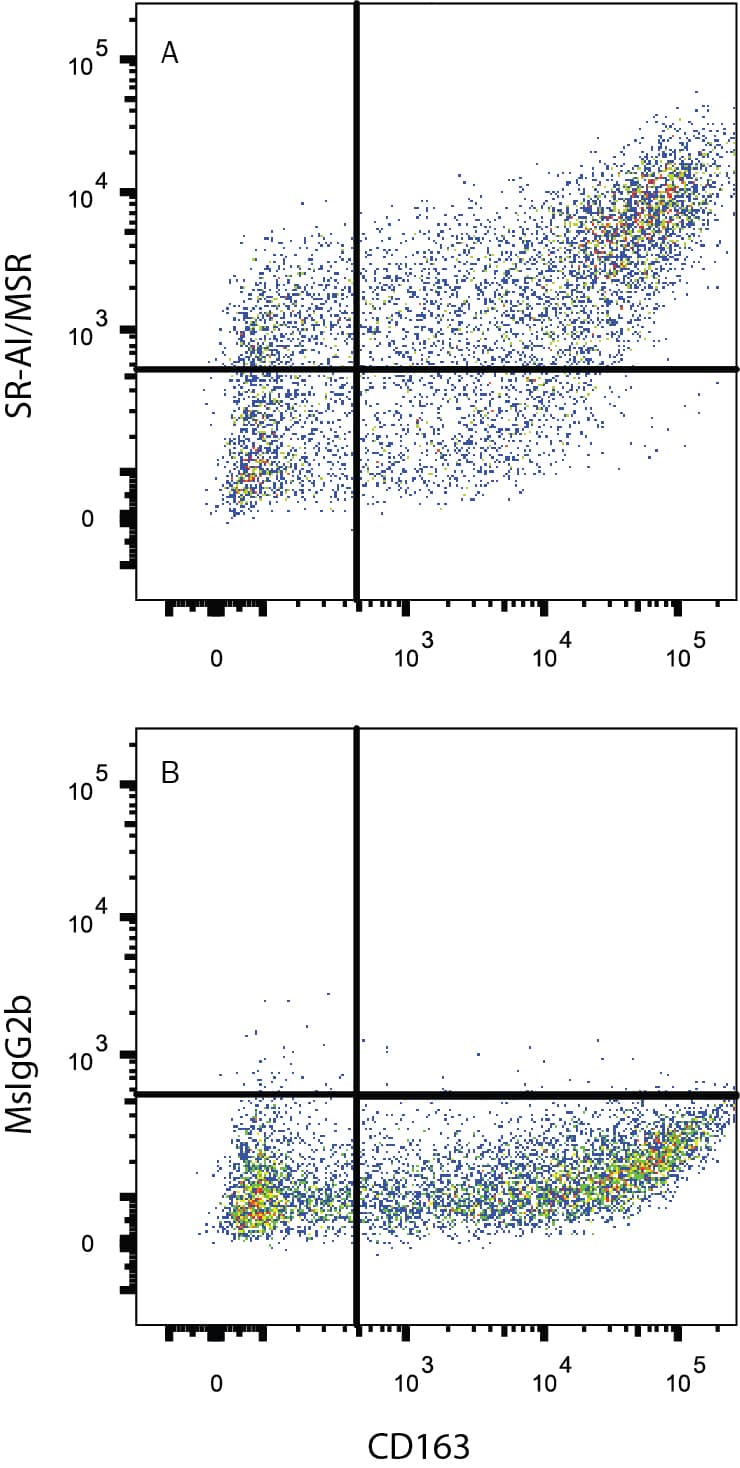 Human M2 macrophages were stained with Mouse Anti-Human CD163 PE-conjugated Monoclonal Antibody (Catalog # FAB1607P) and either (A) Mouse Anti-Human SR-AI/MSR Alexa Fluor® 647-conjugated Monoclonal Antibody (Catalog # FAB2708R) or (B) Mouse IgG2B Alexa Fluor® 647-conjugated Isotype Control (Catalog # IC0041R). View our protocol for Staining Membrane-associated Proteins.