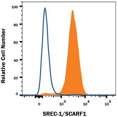 HUVEC human umbilical vein endothelial cells were stained with Mouse Anti-Human SREC-I/SCARF1 Monoclonal Antibody (Catalog # MAB2409, filled histogram) or isotype control antibody (Catalog # MAB0041, open histogram), followed by Phycoerythrin-conjugated Anti-Mouse IgG Secondary Antibody (Catalog # F0102B). View our protocol for Staining Membrane-associated Proteins.