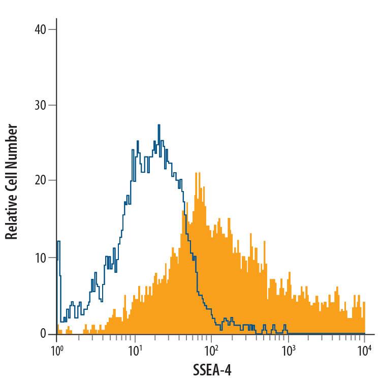 NTera-2 human testicular embryonic carcinoma cell line was stained with Mouse Anti-Human/Mouse SSEA-4 PE-conjugated Mono-clonal Antibody (Catalog # FAB1435P, filled histogram) or isotype control antibody (Catalog # IC007P, open histogram). View our protocol for Staining Membrane-associated Proteins.