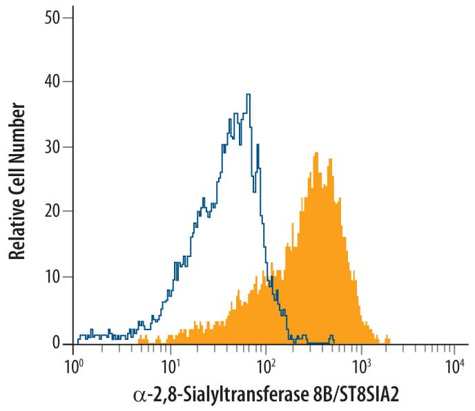 Intracellular Staining by Flow Cytometry ST8 alpha-2,8-Sialyltransferase 8B/ST8SIA2 Antibody [Unconjugated]