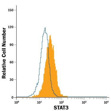 Jurkat human acute T cell leukemia cell line was stained with Mouse Anti-Human/Mouse/Rat STAT3 Fluorescein-conjugated Monoclonal Antibody (Catalog # IC1799F, filled histogram) or isotype control antibody (Catalog # IC0041F, open histogram). View our protocol for Staining Intracellular Molecules.