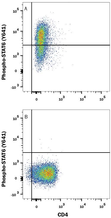 Human peripheral blood mononuclear cells (PBMCs) either (A) Th2-stimulated or (B) unstimulated were stained with Rabbit Anti-Human Phospho-STAT6 (Y641) PE-conjugated Monoclonal Antibody (Catalog # IC37173P) and Mouse Anti-Human CD4 APC-conjugated Monoclonal Antibody (Catalog # FAB3791A). Quadrant markers were set based on control antibody staining (Catalog # IC1051P). To facilitate intracellular staining, cells were fixed with Flow Cytometry Fixation Buffer (Catalog # FC004) and permeabilized with methanol. View our protocol for Staining Intracellular Molecules.