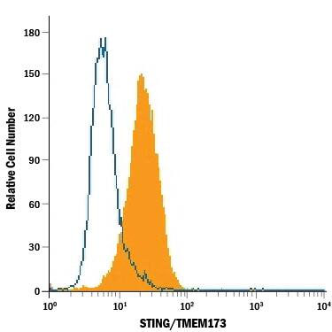 U937 human histiocytic lymphoma cell line was stained with Mouse Anti-Human STING/TMEM173 PE-conjugated Monoclonal Antibody (Catalog # IC7169P, filled histogram) or isotype control antibody (Catalog # IC0041P, open histogram). To facilitate intracellular staining, cells were fixed with Flow Cytometry Fixation Buffer (Catalog # FC004) and permeabilized with Flow Cytometry Permeabilization/Wash Buffer I (Catalog # FC005). View our protocol for Staining Intracellular Molecules.