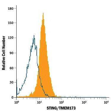 U937 human histiocytic lymphoma cell line was stained with Mouse Anti-Human STING/TMEM173 Monoclonal Antibody (Catalog # MAB7169, filled histogram) or isotype control antibody (MAB0041, open histogram), followed by Allophycocyanin-conjugated Anti-Mouse IgG Secondary Antibody (F0101B). To facilitate intracellular staining, cells were fixed with paraformaldehyde and permeabilized with saponin.
