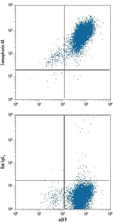 Flow Cytometry Semaphorin 4A Antibody (757129)
