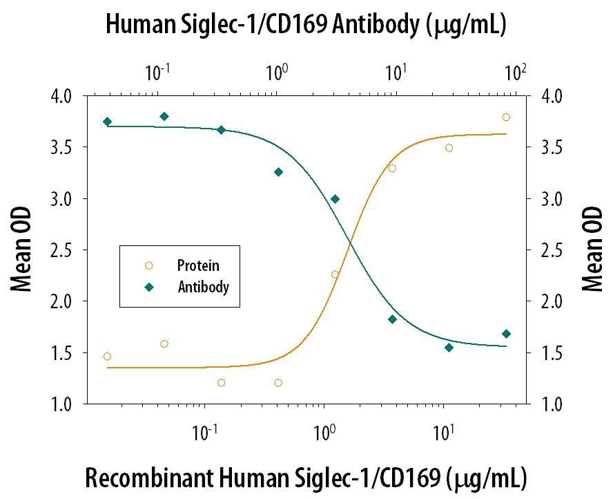 Recombinant Human Siglec-1/CD169 Fc Chimera (Catalog # 5197-SL), immobilized onto a microplate, supports the adhesion of human red blood cells in a dose-dependent manner (orange line). Adhesion elicited by Recombinant Human Siglec-1/CD169 Fc Chimera (5 µg/mL) is neutralized (green line) by increasing concentrations of Sheep Anti-Human Siglec-1/CD169 Antigen Affinity-purified Polyclonal Antibody (Catalog # AF5197). The ND50 is typically 1.5-7.5 µg/mL.