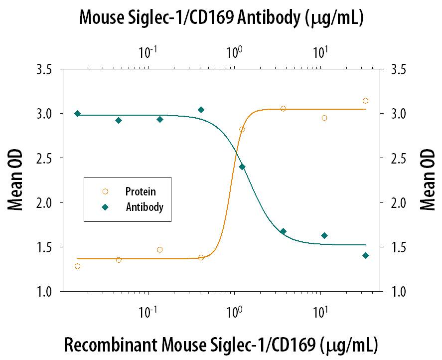 Cell Adhesion Mediated by Siglec-1/CD169 and Neutralization by Mouse Siglec-1/CD169 Antibody. Recombinant Mouse Siglec-1/CD169 Fc Chimera (Catalog # 5610-SL), immobilized onto a microplate, supports the adhesion of human red blood cells in a dose-dependent manner (orange line). Adhesion elicited by Recombinant Mouse Siglec-1/CD169 Fc Chimera (5 µg/mL) is neutralized (green line) by increasing concentrations of Sheep Anti-Mouse Siglec-1/CD169 Antigen Affinity-purified Polyclonal Antibody (Catalog # AF5610). The ND50 is typically 1-5 µg/mL.