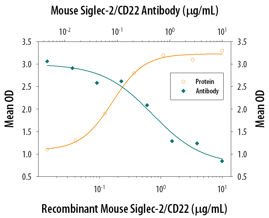 Recombinant Mouse Siglec-2/ CD22 Fc Chimera (Catalog # 2296-SL), immobilized onto a microplate, supports the adhesion of human red blood cells in a dose-dependent manner (orange line). Adhesion elicited by Recombinant Mouse Siglec-2/ CD22 Fc Chimera (0.3 µg/mL) is neutralized (green line) by increasing concentrations of Goat Anti-Mouse Siglec-2/CD22 Antigen Affinity-purified Polyclonal Antibody (Catalog # AF2296). The ND50 is typically 0.1-0.5 µg/mL.