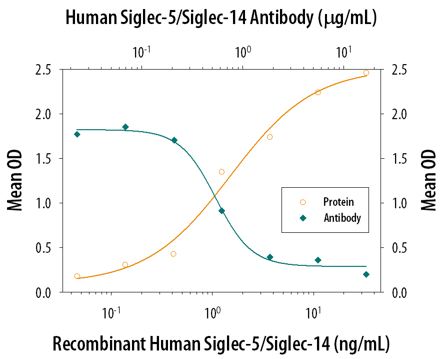 Recombinant Human Siglec‑5 Fc Chimera (Catalog # 1072-SL), immobilized onto a microplate, supports the adhesion of human red blood cells in a dose-dependent manner (orange line). Adhesion elicited by Recombinant Human Siglec‑5 Fc Chimera (5 µg/mL) is neutralized (green line) by increasing concentrations of Human Siglec‑5/14 Antigen Affinity-purified Polyclonal Antibody (Catalog # AF1072). The ND50 is typically 0.5-2.0 µg/mL.