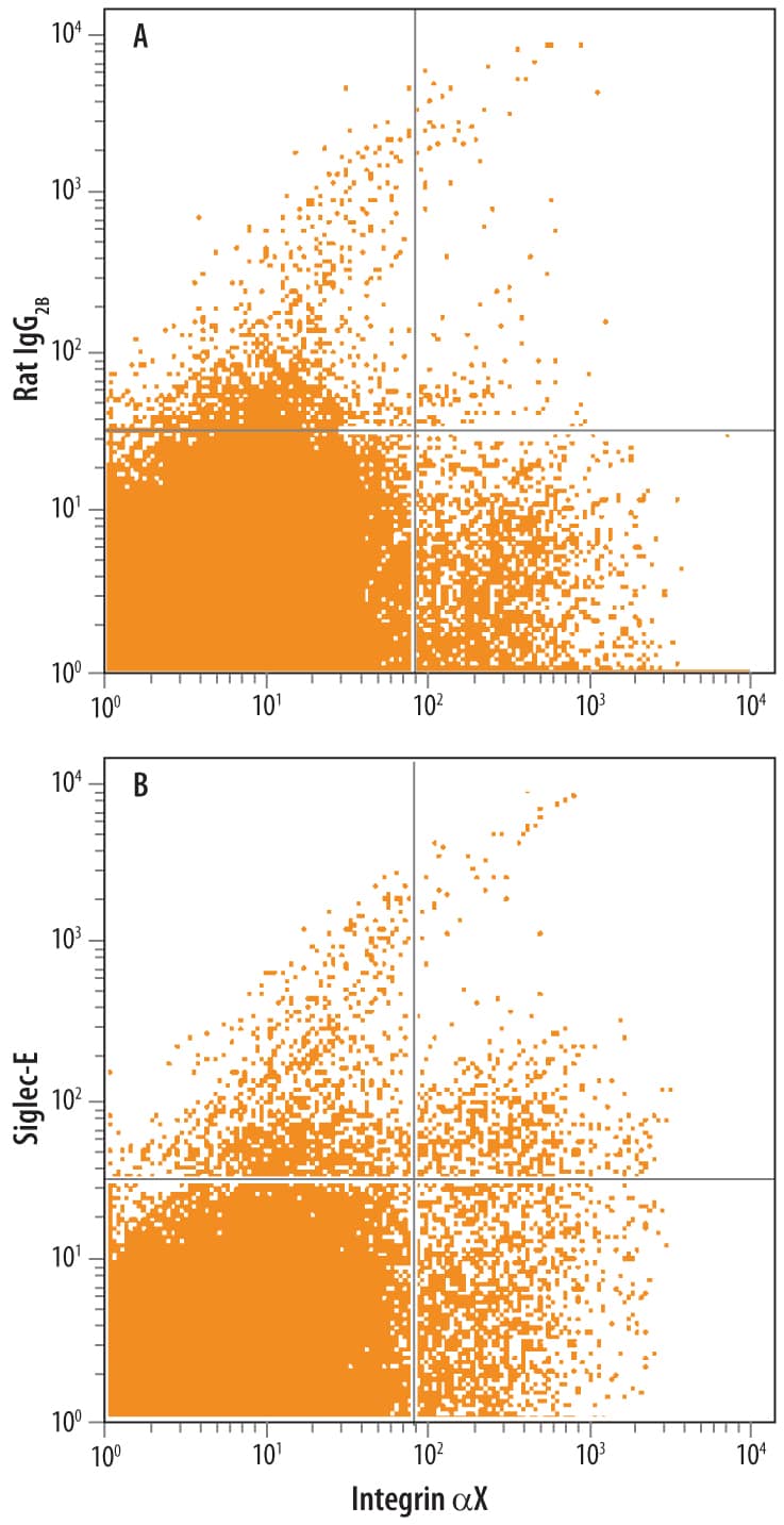 Mouse Splenocytes were stained with Anti-Mouse Integrin aX/CD11c Phycoerythrin-conjugated Antibody and either (A) Rat IgG2B Isotype Control (Catalog # MAB0061) or (B) Rat Anti-Mouse Siglec-E Monoclonal Antibody (Catalog # MAB5806) followed by Allophycocyanin-conjugated Anti-Rat IgG Secondary Antibody (Catalog # F0113).