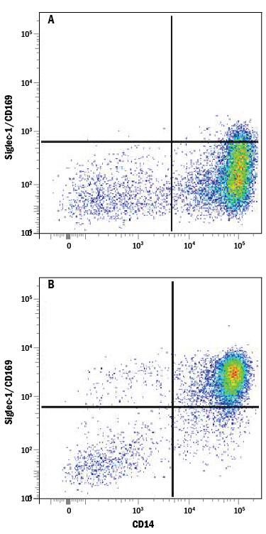 Human peripheral blood mononuclear cells (PBMCs) either (A) untreated or (B) treated with 5 ng/mL Recombinant Human IFN-a (Catalog # 11100-1) overnight were stained with Mouse Anti-Human Siglec-1/CD169 Monoclonal Antibody (Catalog # MAB5197) followed by Allophycocyanin-conjugated Anti-Mouse IgG Secondary Antibody (Catalog # F0101B) and Mouse Anti-Human CD14 PE-conjugated Monoclonal Antibody (Catalog # FAB3832P). Quadrant markers were set based on control antibody staining (Catalog # MAB002).