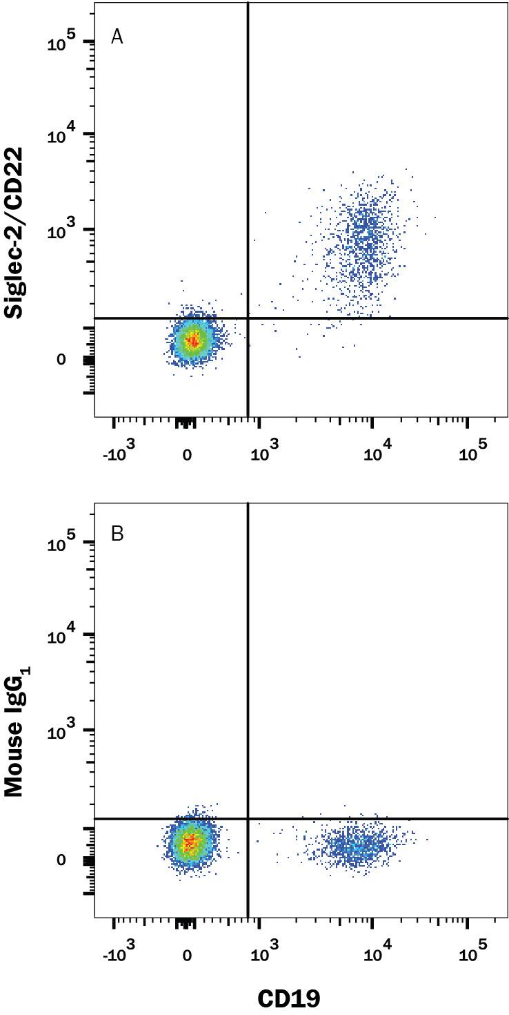 Human peripheral blood mononuclear cells (PBMCs) were stained with Mouse Anti-Human CD19 APC-conjugated Monoclonal Antibody (Catalog # FAB4867A) and either (A) Mouse Anti-Human Siglec-2/CD22 Alexa Fluor® 488-conjugated Monoclonal Antibody (Catalog # FAB1968G) or (B) Mouse IgG1 Alexa Fluor® 488 Isotype Control (Catalog # IC002G). View our protocol for Staining Membrane-associated Proteins.