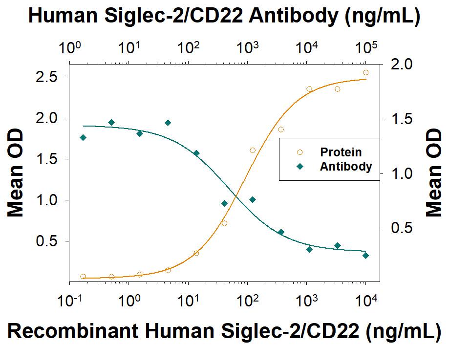 Recombinant Human Siglec-2/CD22 Fc Chimera (Catalog # 1968-SL), immobilized onto a microplate, supports the adhesion of human red blood cells in a dose-dependent manner (orange line) as measured by the psuedoperoxidase assay. Adhesion elicited by Recombinant Human Siglec-2/CD22 Fc Chimera (0.2 µg/mL) is neutralized (green line) by increasing concentrations of Mouse Anti-Human Siglec-2/CD22 Monoclonal Antibody (Catalog # MAB19682). The ND50 is typically 6-60 ng/mL.