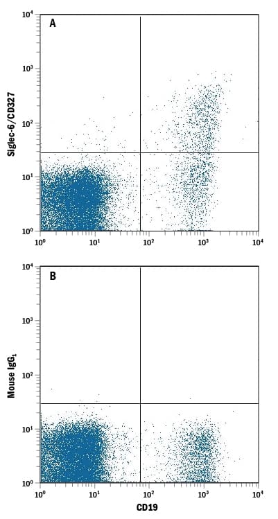 Human peripheral blood mononuclear cell (PBMC) lymphocytes were stained with Mouse Anti-Human CD19 PE-conjugated Monoclonal Antibody (Catalog # FAB4867P) and either (A) Mouse Anti-Human Siglec-6/CD327 APC-conjugated Monoclonal Antibody (Catalog # FAB2859A) or (B) Mouse Allophycocyanin Isotype Control. View our protocol for Staining Membrane-associated Proteins.