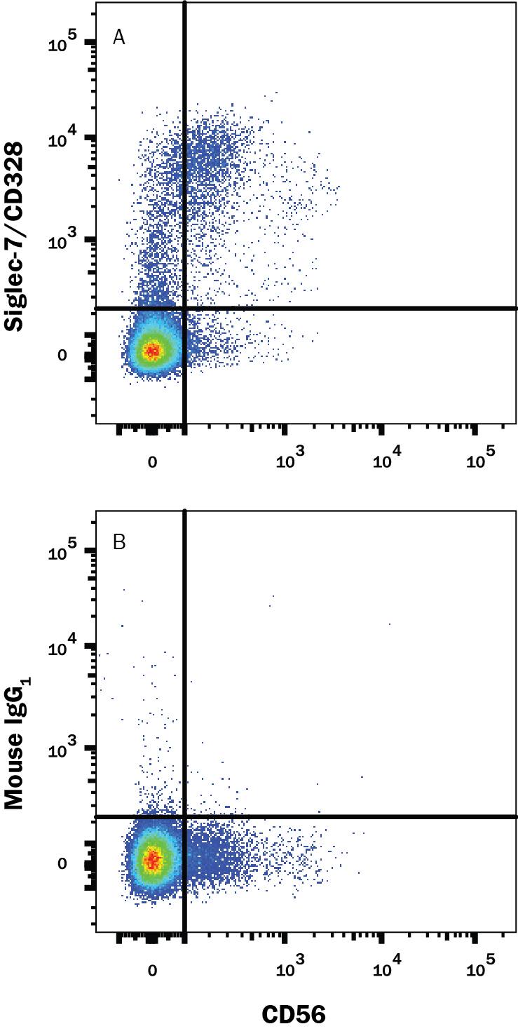 Human peripheral blood mononuclear cells (PBMCs) were stained with Mouse Anti-Human NCAM-1/CD56 APC-conjugated Monoclonal Antibody (FAB2408A) and either (A) Mouse Anti-Human Siglec-7/CD328 PE-conjugated Monoclonal Antibody (Catalog # FAB11381P) or (B) Mouse IgG1Phycoerythrin Isotype Control (IC002P). View our protocol for Staining Membrane-associated Proteins.