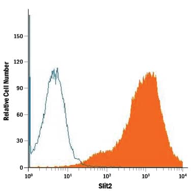 CHO Chinese hamster ovary cell line transfected with mouse Slit2 was stained with Rat Anti-Mouse Slit2 Monoclonal Antibody (Catalog # MAB5444, filled histogram) or isotype control antibody (Catalog # MAB0061, open histogram), followed by Allophycocyanin-conjugated Anti-Rat IgG Secondary Antibody (Catalog # F0113).