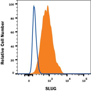 HeLa human cervical epithelial carcinoma cell line was stained with Mouse Anti-Human Slug Monoclonal Antibody (Catalog # MAB7408, filled histogram) or isotype control antibody (MAB003, open histogram) followed by anti-Mouse IgG PE-conjugated secondary antibody (F0102B). To facilitate intracellular staining, cells were fixed with Flow Cytometry Fixation Buffer (FC004) and permeabilized with Flow Cytometry Permeabilization/Wash Buffer I (FC005). View our protocol for Staining Intracellular Molecules.
