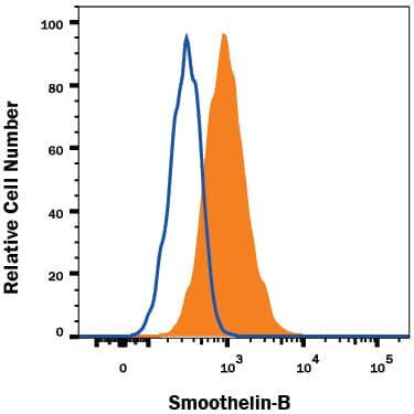 HASMC human aortic smooth muscle cells was stained with Mouse Anti-Human Smoothelin B Monoclonal Antibody (Catalog # MAB8278, filled histogram) or isotype control antibody (Catalog # MAB002, open histogram), followed by Phycoerythrin-conjugated Anti-Mouse IgG Secondary Antibody (Catalog # F0102B). View our protocol for Staining Intracellular Molecules.