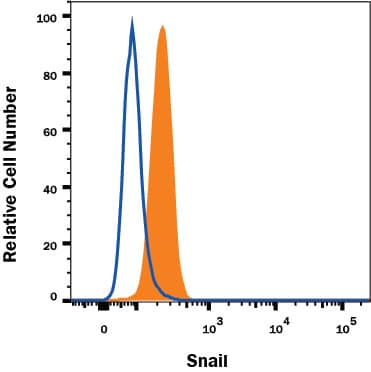 A549 human lung carcinoma cell line was stained with Goat Anti-Human Snail Antigen Affinity-purified Polyclonal Antibody (Catalog # AF3639, filled histogram) or isotype control antibody (Catalog # AB-108-C, open histogram), followed by Fluorescein-conjugated Anti-Goat IgG Secondary Antibody (Catalog # F0109). To facilitate intracellular staining, cells were fixed and permeabilized with FlowX FoxP3 Fixation & Permeabilization Buffer Kit (Catalog # FC012). View our protocol for Staining Intracellular Molecules.
