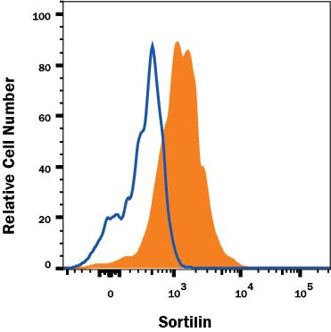 K562 human chronic myelogenous leukemia cell line was stained with Mouse Anti-Human Sortilin Monoclonal Antibody (Catalog # MAB31541, filled histogram) or isotype control antibody (Catalog # MAB002, open histogram), followed by Allophycocyanin-conjugated Anti-Mouse IgG Secondary Antibody (Catalog # F0101B). View our protocol for Staining Membrane-associated Proteins.