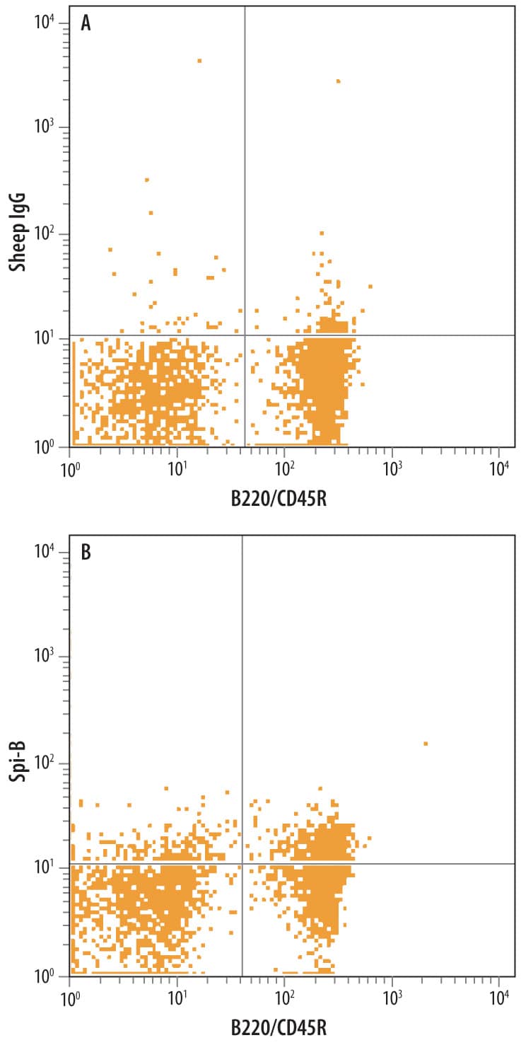 Mouse splenocytes were stained with Sheep Anti-Mouse Spi-B Antigen Affinity-purified Polyclonal Antibody (Catalog # AF7204) followed by Allophycocyanin-conjugated Anti-Sheep IgG Secondary Antibody (Catalog # F0127) and Rat Anti-Mouse B220/CD45R PE-conjugated Monoclonal Antibody (Catalog # FAB1217P). Quadrant markers were set based on control antibody staining (Catalog # 5-001-A). To facilitate intracellular staining, cells were fixed with paraformadehyde and permeabilized with saponin.