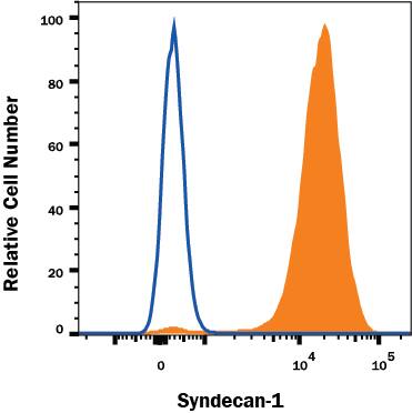 RPMI 8226 human multiple myeloma cell line was stained with Rat Anti-Human Syndecan-1/CD138 Monoclonal Antibody (Catalog # MAB2780R, filled histogram) or isotype control antibody (Catalog # MAB005, open histogram), followed by Phycoerythrin-conjugated Anti-Rat IgG Secondary Antibody (Catalog # F0105B). View our protocol for Staining Membrane-associated Proteins.