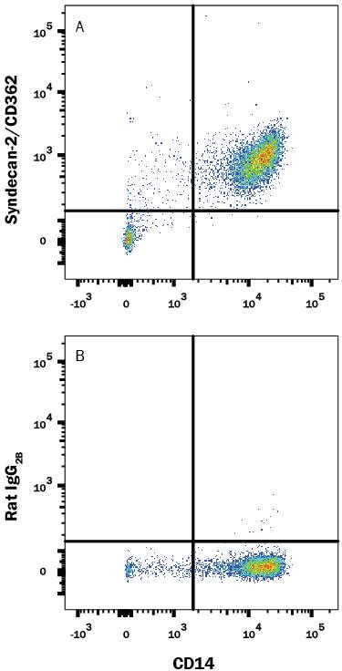 Human peripheral blood monocytes were stained with Mouse Anti-Human CD14 PE-conjugated Monoclonal Antibody (Catalog # FAB3832P) and either (A) Rat Anti-Human Syndecan-2/CD362 APC-conjugated Monoclonal Antibody (Catalog # FAB2965A) or (B) Rat IgG2BAllophycocyanin Isotype Control (Catalog # IC013A). View our protocol for Staining Membrane-associated Proteins.