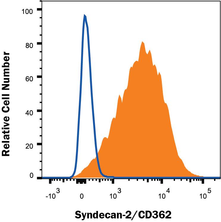 COLO 205 human colorectal adenocarcinoma cell line was stained with Rat Anti-Human Syndecan-2/CD362 APC-conjugated Monoclonal Antibody (Catalog # FAB2965A, filled histogram) or Rat IgG2BAllophycocyanin Isotype Control (Catalog # IC013A, open histogram). View our protocol for Staining Membrane-associated Proteins.