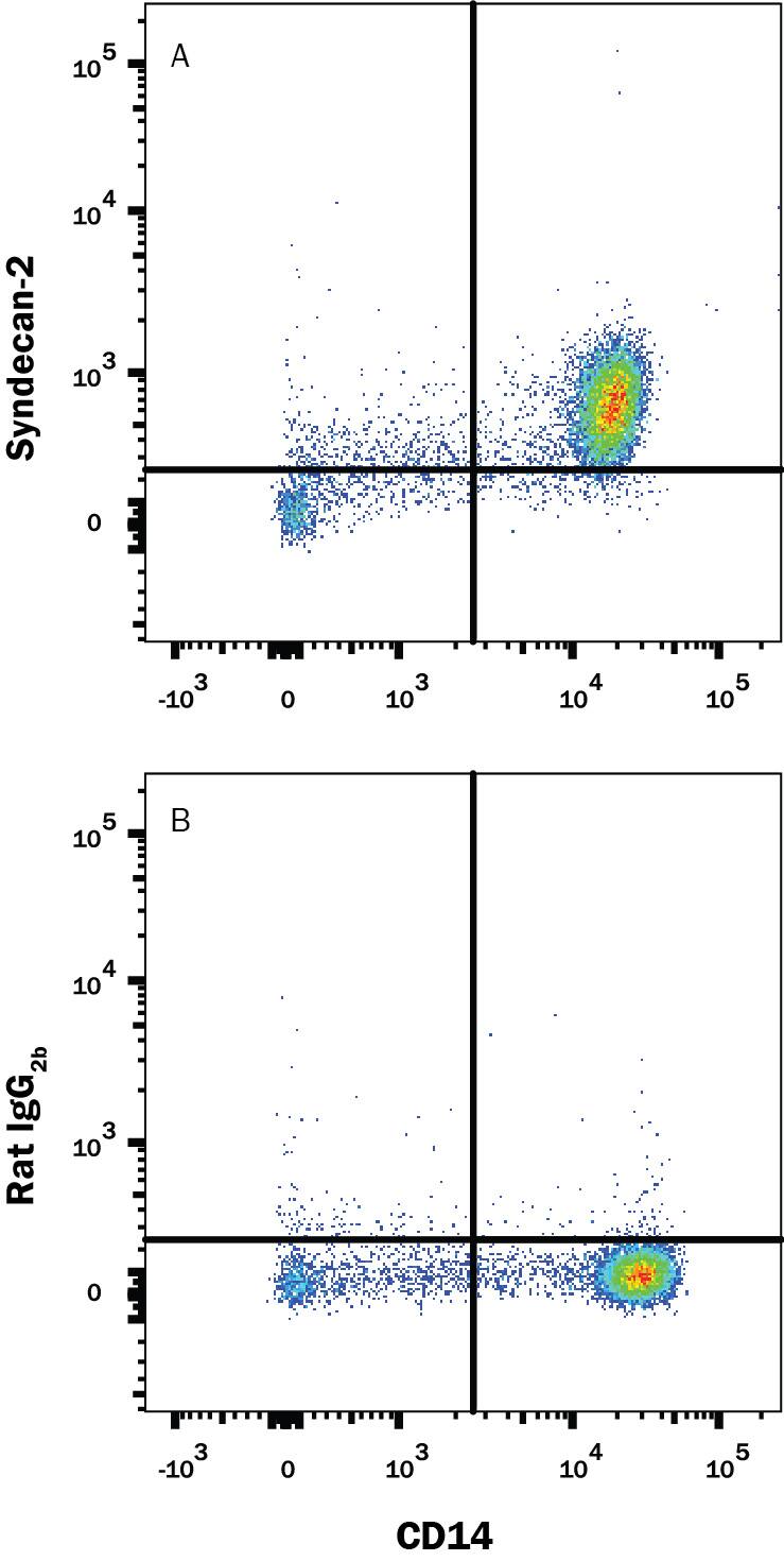 Human peripheral blood mononuclear cells (PBMCs) were stained with Mouse Anti-Human CD14 APC-conjugated Monoclonal Antibody (Catalog # FAB3832A) and either (A) Rat Anti-Human Syndecan-2/CD362 Monoclonal Antibody (Catalog # MAB2965R) or (B) Rat IgG2BIsotype Control (Catalog # MAB0061) followed by Phycoerythrin-conjugated Anti-Mouse IgG Secondary Antibody (Catalog # F0102B).