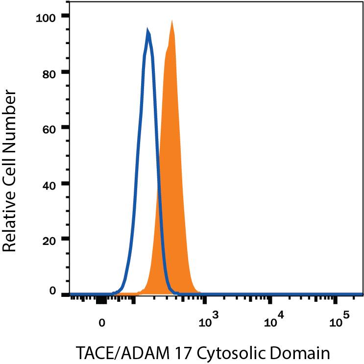 HeLa human cervical epithelial carcinoma cell line was stained with Mouse Anti-Human TACE/ADAM17 Alexa Fluor® 594-conjugated Monoclonal Antibody (Catalog # FAB21291T, filled histogram) or isotype control antibody (Catalog # IC002T, open histogram). To facilitate intracellular staining, cells were fixed with Flow Cytometry Fixation Buffer (Catalog # FC004) and permeabilized with Flow Cytometry Permeabilization/Wash Buffer I (Catalog # FC005). View our protocol for Staining Intracellular Molecules.