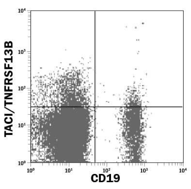 Human peripheral blood lymphocytes were stained with Mouse Anti-Human TACI/TNFRSF13B PE-conjugated Monoclonal Antibody (Catalog # FAB1741P) and Mouse Anti-Human CD19 Fluorescein-conjugated Monoclonal Antibody (Catalog # FAB4867F). Quadrant markers were set based on control antibody staining (Catalog # IC002P). View our protocol for Staining Membrane-associated Proteins.
