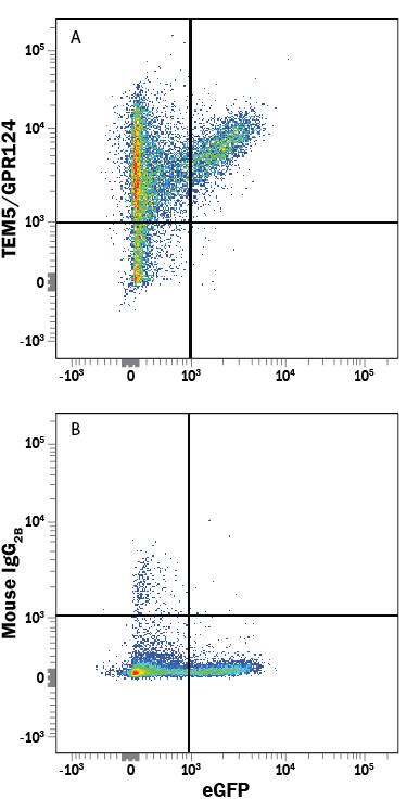 Flow Cytometry TEM5/GPR124 Antibody (499716) [Unconjugated]
