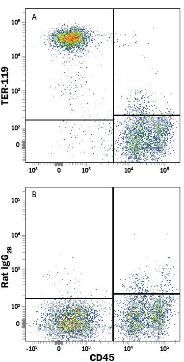 Mouse BALB/c bone marrow cells were stained with Rat Anti-Mouse CD45 Phycoerythrin-conjugated Monoclonal Antibody (Catalog # FAB114P) and either (A) Rat Anti-Mouse TER-119 APC-conjugated Monoclonal Antibody (Catalog # FAB1125A) or (B) Rat IgG2BAllophycocyanin Isotype Control (Catalog # IC013A). View our protocol for Staining Membrane-associated Proteins.