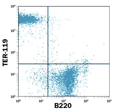 Balb/c mouse bone marrow cells was stained with Rat Anti-Mouse TER-119 PE-conjugated Monoclonal Antibody (Catalog # FAB1125P) and Rat Anti-Mouse B220/CD45R Fluorescein-conjugated Monoclonal Antibody (Catalog # FAB1217F). Quadrant markers were set based on control antibody staining . View our protocol for Staining Membrane-associated Proteins.