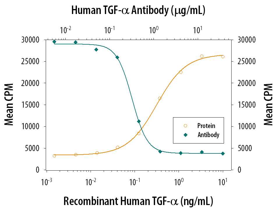 Recombinant Human TGF-a (Catalog # 239-A) stimulates proliferation in the Balb/3T3 mouse embryonic fibroblast cell line in a dose-dependent manner (orange line). Proliferation elicited by Recombinant Human TGF-a (3 ng/mL) is neutralized (green line) by increasing concentrations of Goat Anti-Human TGF-a Polyclonal Antibody (Catalog # AB-239-NA). The ND50 is typically 0.4-0.8 µg/mL.