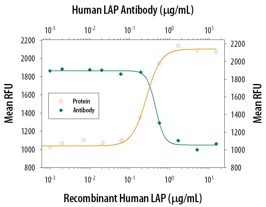 Recombinant Human LAP TGF-beta 1 (Catalog # 246-LP) inhibits Recom-binant Human TGF-beta 1 (Catalog # 240-B) growth inhibition activity in the HT-2 mouse T cell line in a dose-dependent manner (orange line). Inhibition of Recom-binant Human TGF-beta 1 (1 ng/mL) activity elicited by Recombin-ant Human LAP TGF-beta 1 (500 ng/mL) is neutralized (green line) by increasing concentrations of Goat Anti-Human LAP TGF-beta 1 Antigen Affinity-purified Polyclonal Antibody (Catalog # AF-246-NA). The ND50 is typically 0.4-2 µg/mL.