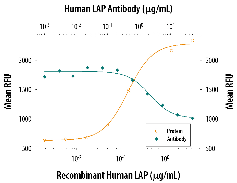 Recombinant Human LAP TGF-beta 1 (Catalog # 246-LP) inhibits Recombinant Human TGF-beta 1 (Catalog # 240-B) growth inhibition activity in the HT-2 mouse T cell line in a dose-dependent manner (orange line). Inhibition of Recombinant Human TGF-beta 1 (1 ng/mL) activity elicited by Recombinant Human LAP TGF-beta 1 (500 ng/mL) is neutralized (green line) by increasing concentrations of Human LAP TGF-beta 1 Monoclonal Antibody (Catalog # MAB246). The ND50 is typically 1-5 µg/mL.